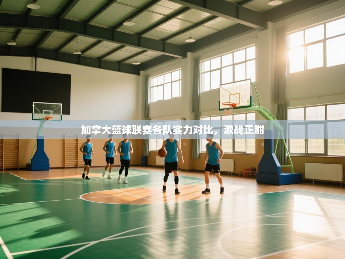 开云注册-加拿大篮球联赛各队实力对比，激战正酣  第1张