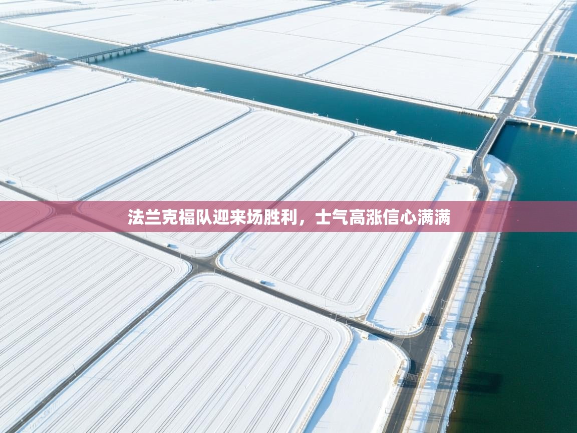 开云登录-法兰克福队迎来场胜利,士气高涨信心满满 第3张