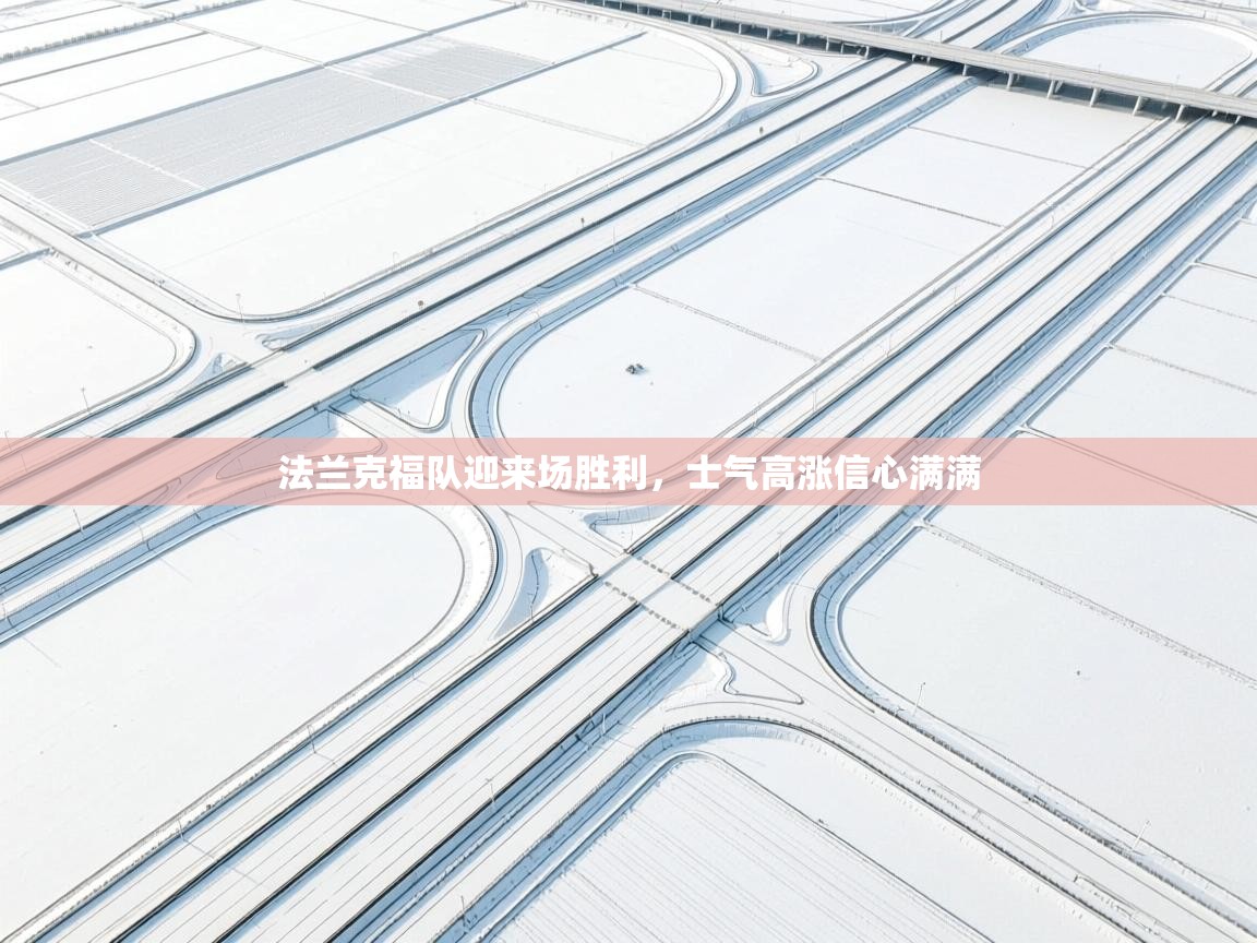 开云登录-法兰克福队迎来场胜利,士气高涨信心满满 第4张