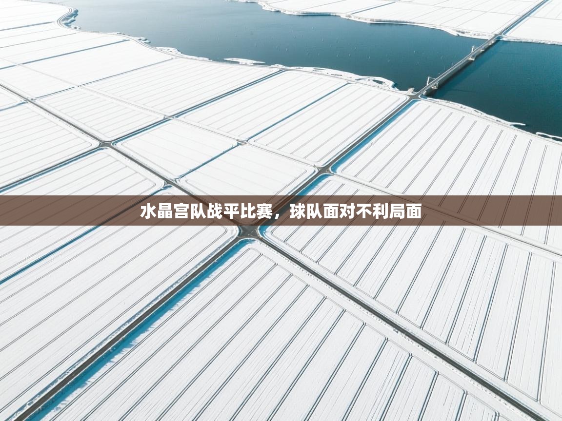 开云体育app官网-水晶宫队战平比赛,球队面对不利局面 第1张