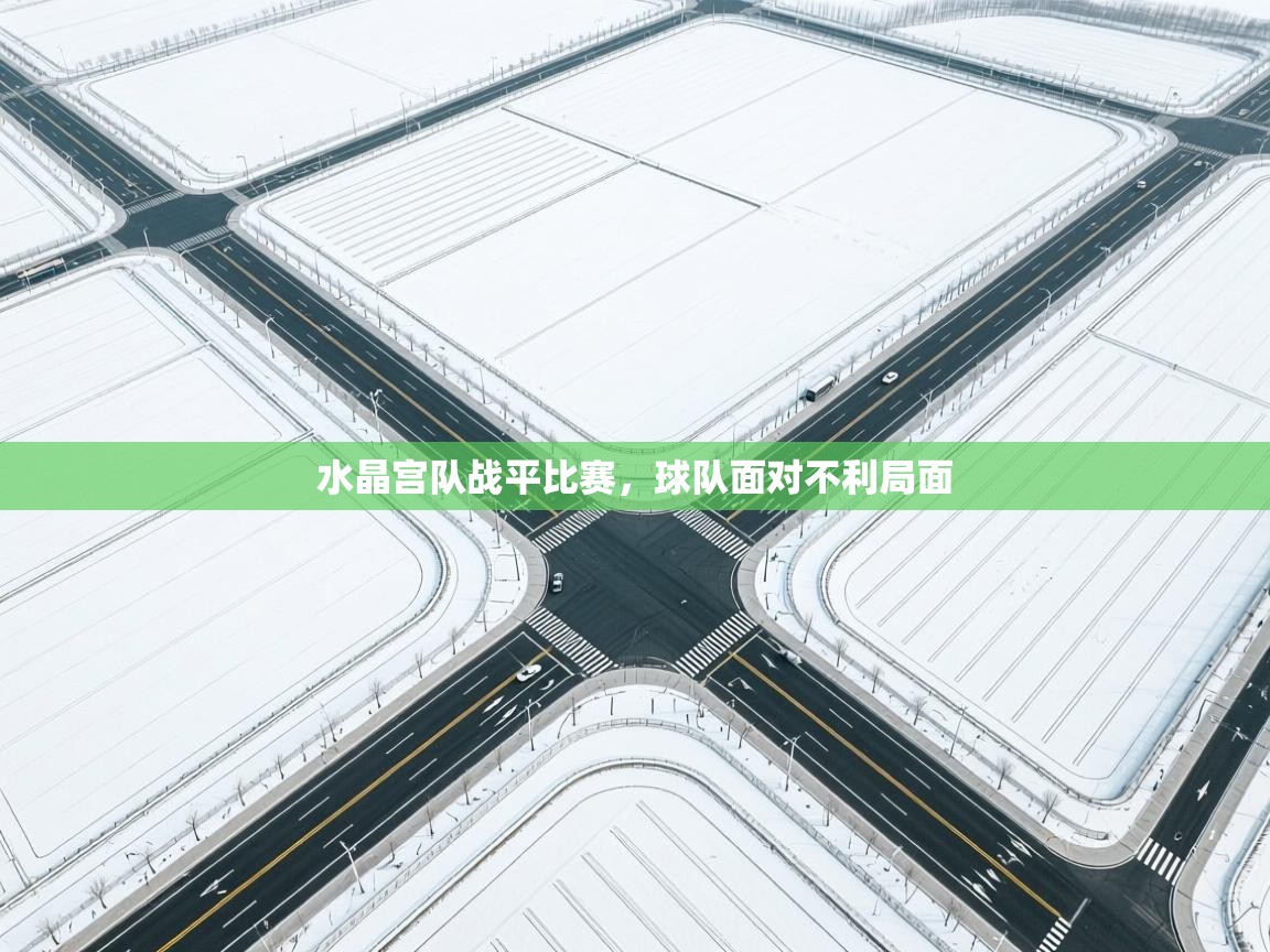 开云体育app官网-水晶宫队战平比赛,球队面对不利局面 第3张