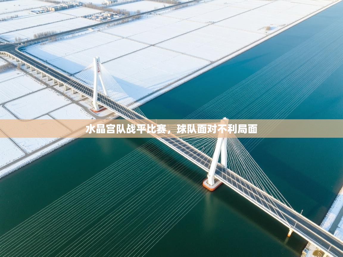 开云体育app官网-水晶宫队战平比赛,球队面对不利局面 第4张