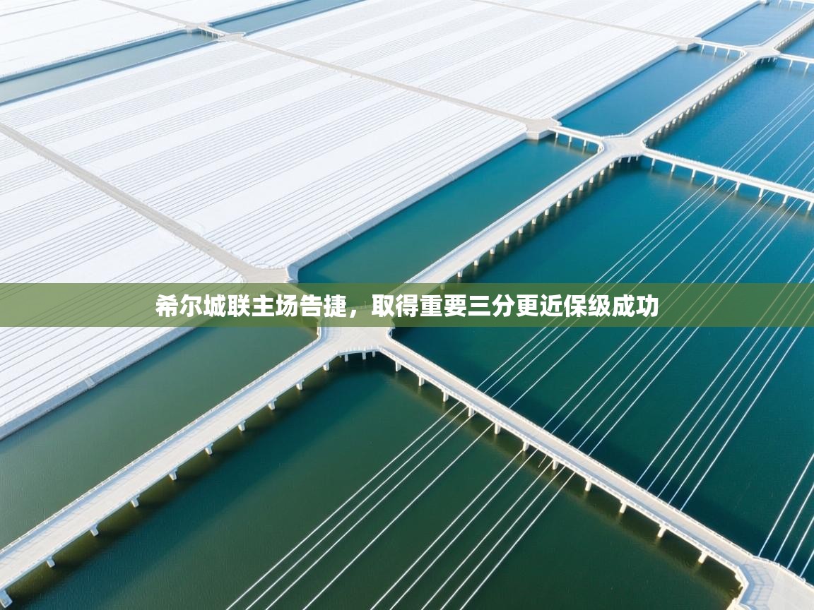 开云体育入口网址-希尔城联主场告捷，取得重要三分更近保级成功  第1张