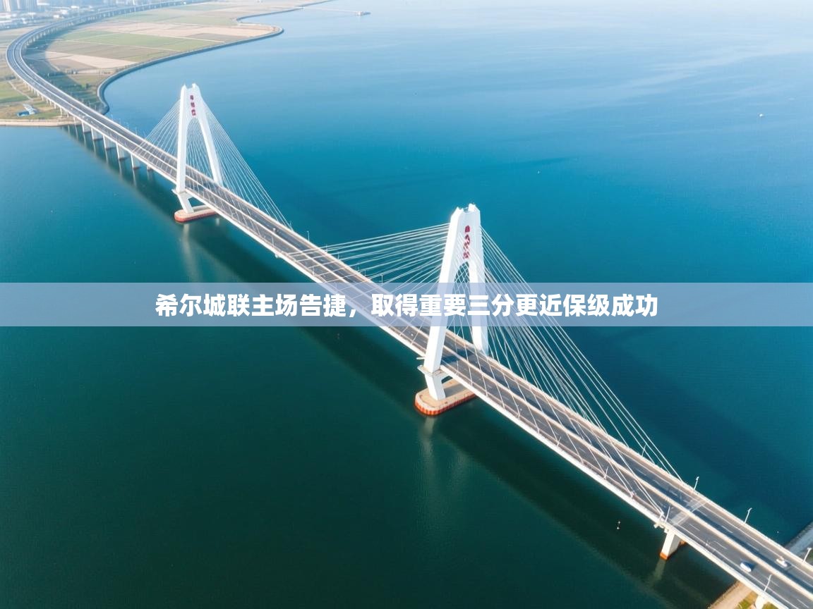 开云体育入口网址-希尔城联主场告捷，取得重要三分更近保级成功  第4张