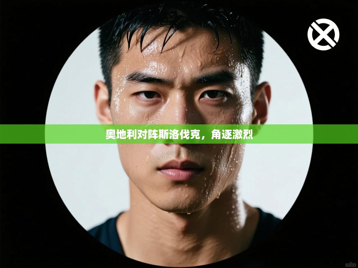 开云入口-奥地利对阵斯洛伐克，角逐激烈  第1张