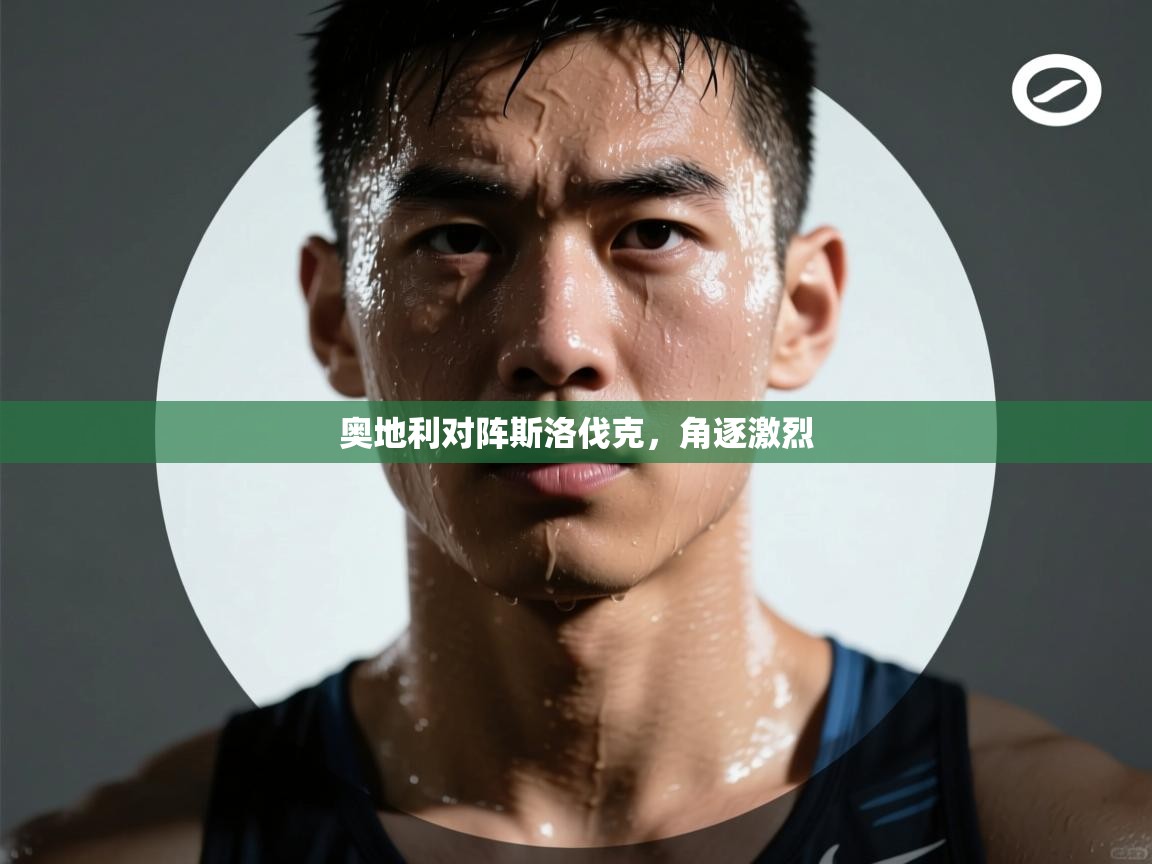 开云入口-奥地利对阵斯洛伐克，角逐激烈  第2张