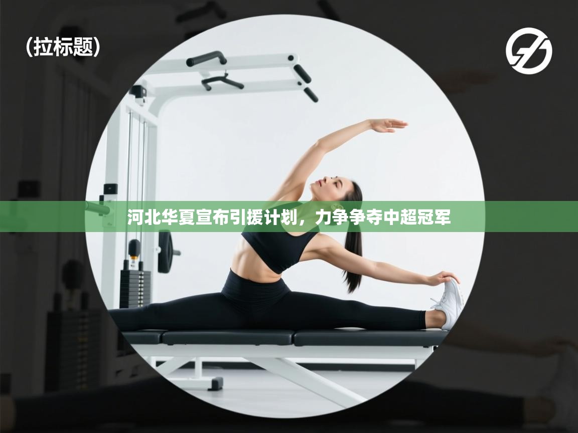 开云体育无法登录解决方案-河北华夏宣布引援计划，力争争夺中超冠军  第2张