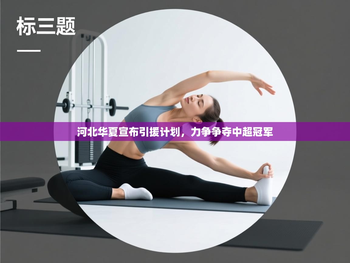 开云体育无法登录解决方案-河北华夏宣布引援计划，力争争夺中超冠军  第3张