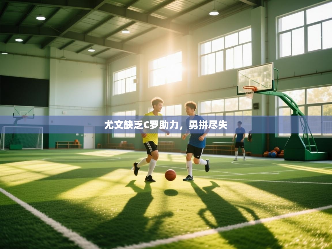 开云体育工单提交入口-尤文缺乏C罗助力,勇拼尽失 第1张