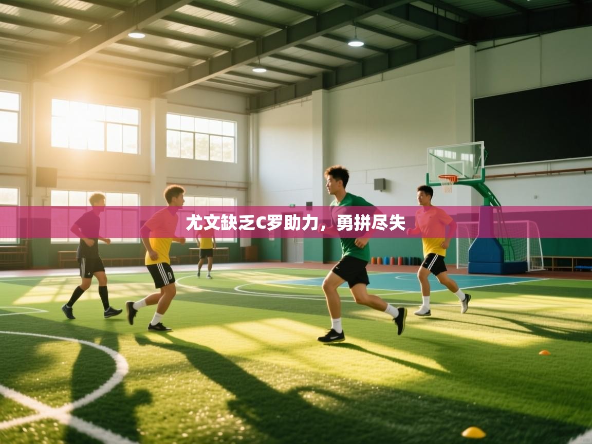 开云体育工单提交入口-尤文缺乏C罗助力,勇拼尽失 第4张